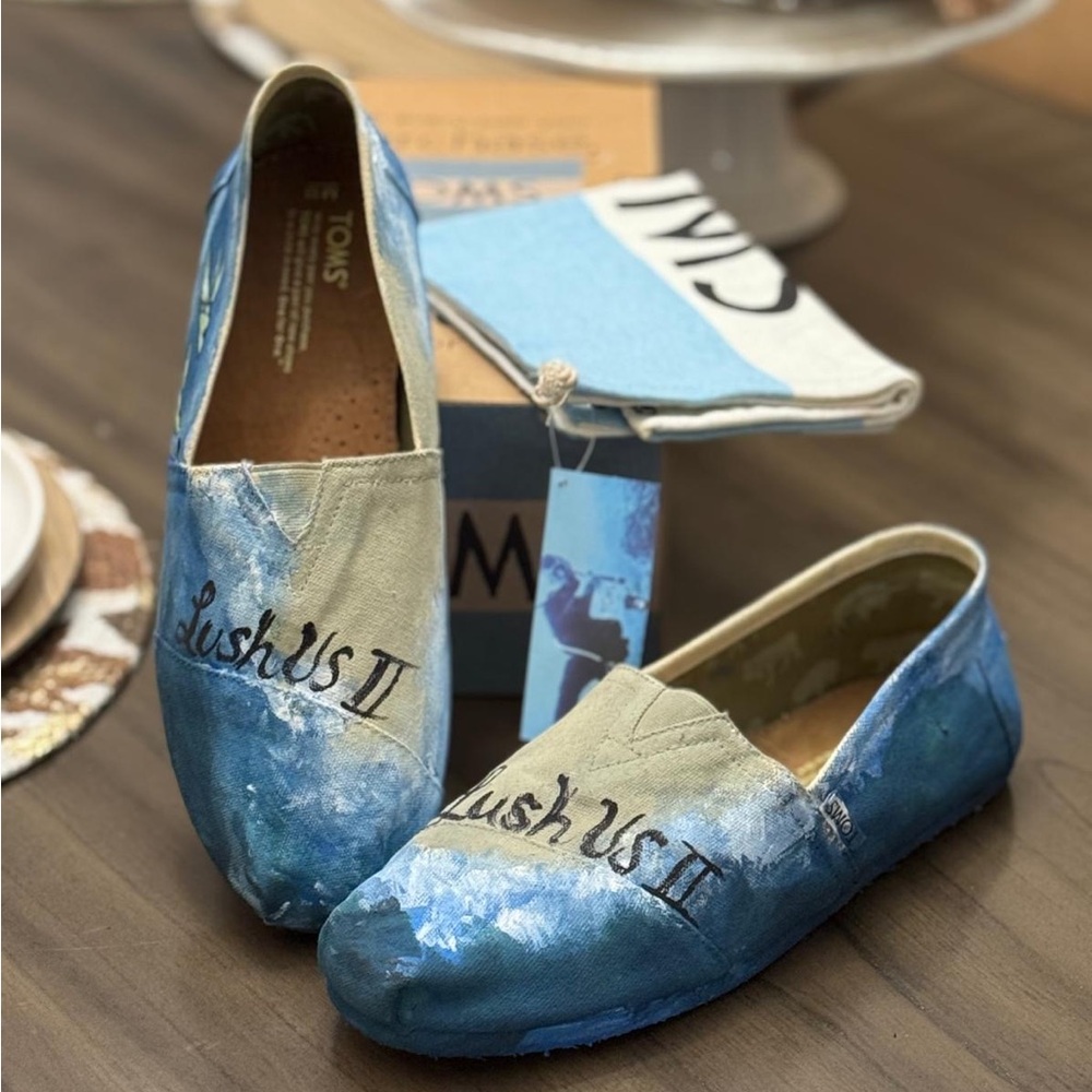 TOMS Artistic Blue and Tan Slip-Ons